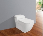 One Piece Toilets V61